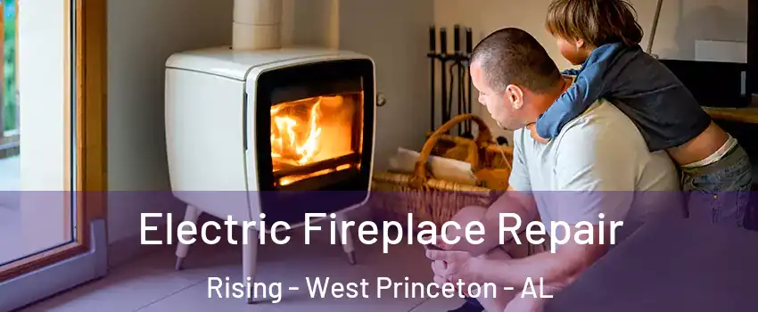 Electric Fireplace Repair Rising - West Princeton - AL