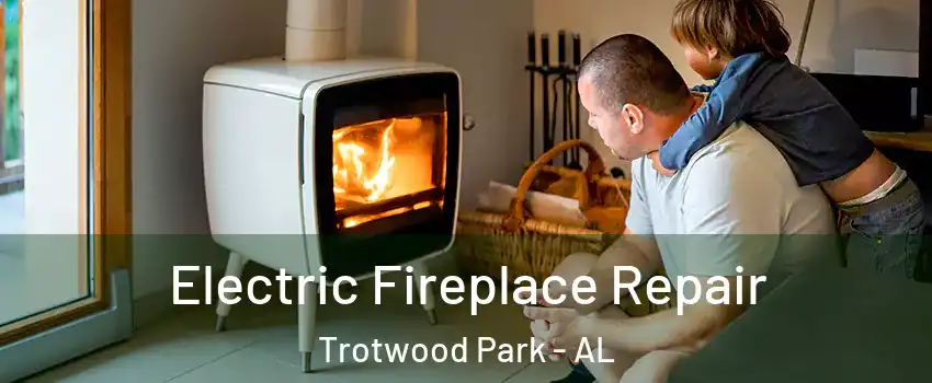 Electric Fireplace Repair Trotwood Park - AL