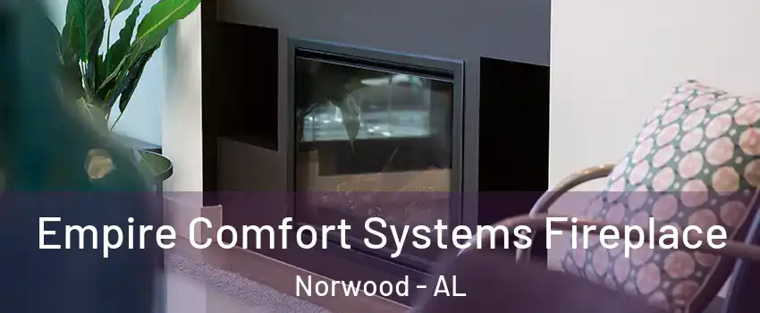 Empire Comfort Systems Fireplace Norwood - AL