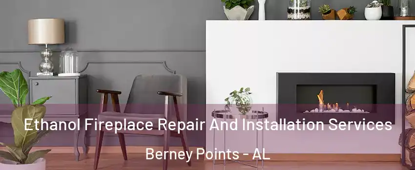 Ethanol Fireplace Repair And Installation Services Berney Points - AL