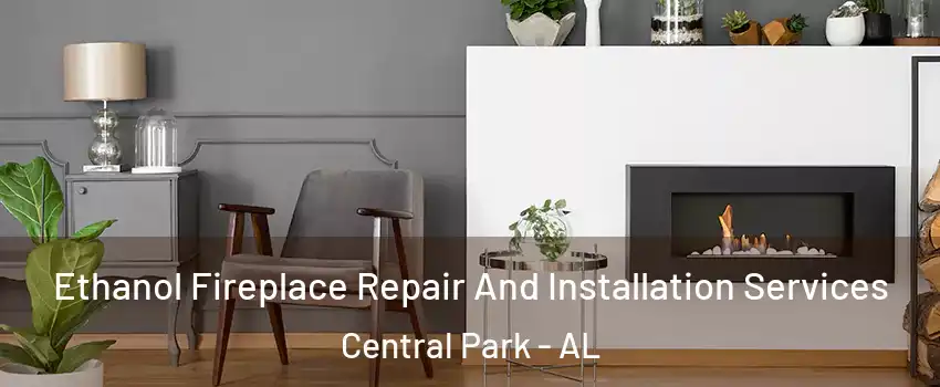 Ethanol Fireplace Repair And Installation Services Central Park - AL