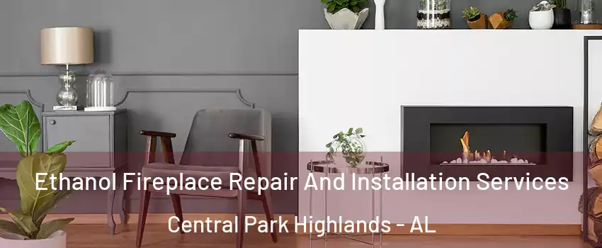 Ethanol Fireplace Repair And Installation Services Central Park Highlands - AL