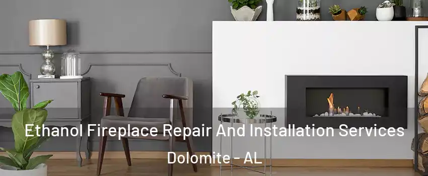 Ethanol Fireplace Repair And Installation Services Dolomite - AL