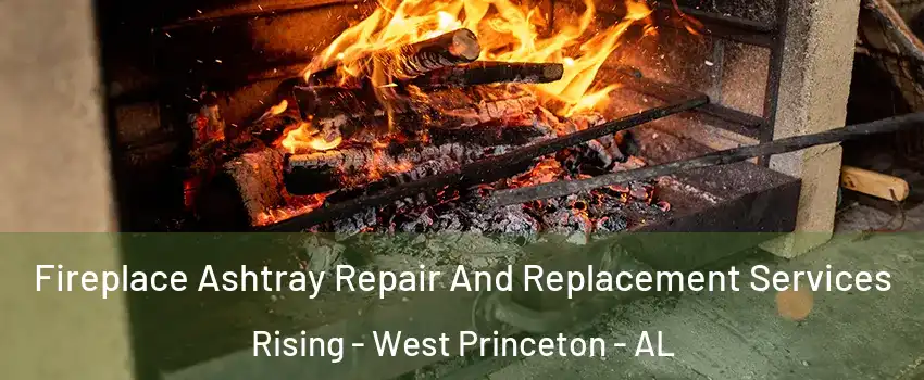 Fireplace Ashtray Repair And Replacement Services Rising - West Princeton - AL