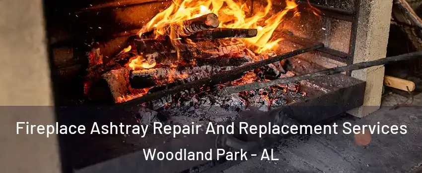 Fireplace Ashtray Repair And Replacement Services Woodland Park - AL