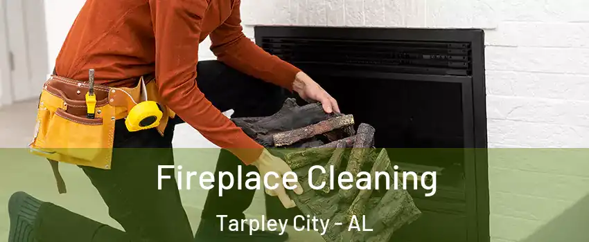 Fireplace Cleaning Tarpley City - AL