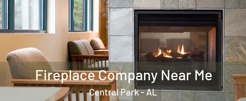 Fireplace Company Near Me Central Park - AL