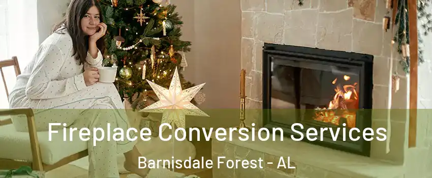 Fireplace Conversion Services Barnisdale Forest - AL
