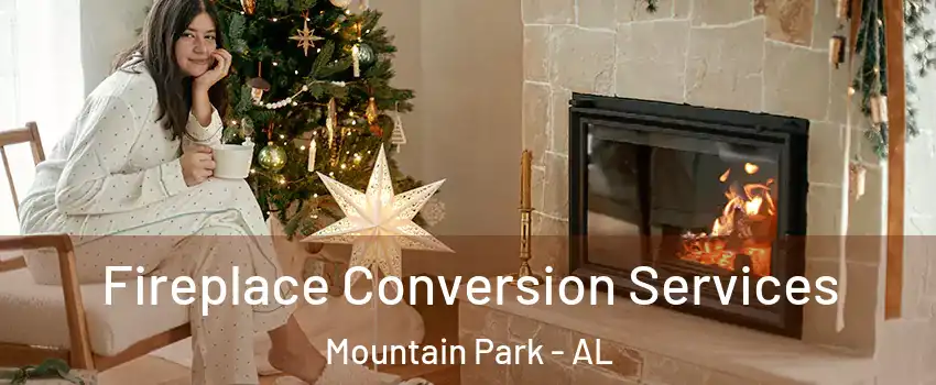 Fireplace Conversion Services Mountain Park - AL