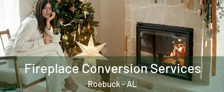 Fireplace Conversion Services Roebuck - AL