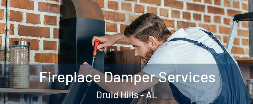 Fireplace Damper Services Druid Hills - AL