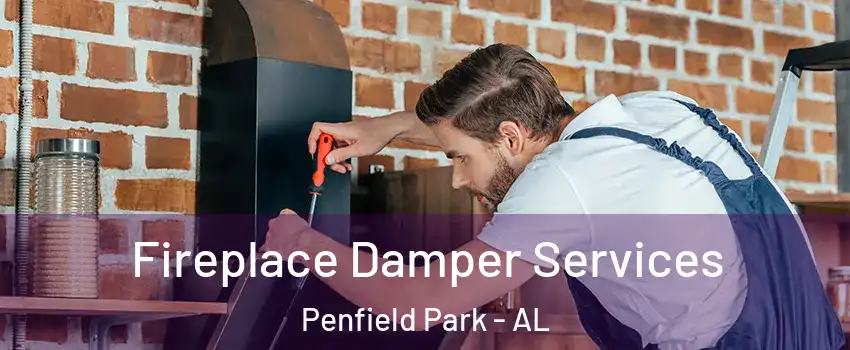 Fireplace Damper Services Penfield Park - AL