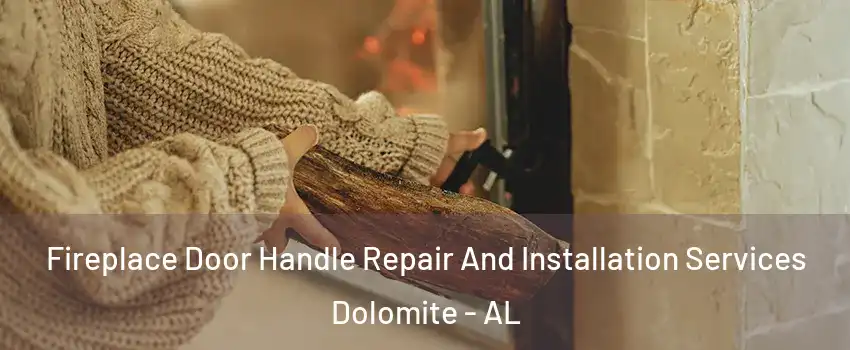 Fireplace Door Handle Repair And Installation Services Dolomite - AL