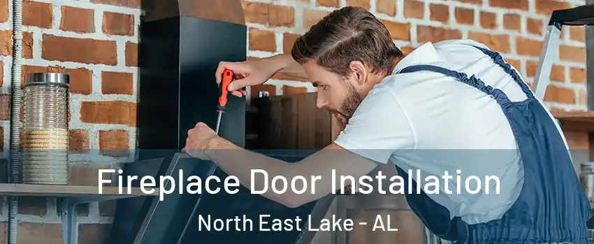 Fireplace Door Installation North East Lake - AL