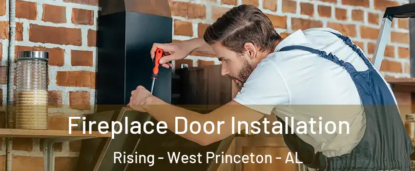 Fireplace Door Installation Rising - West Princeton - AL