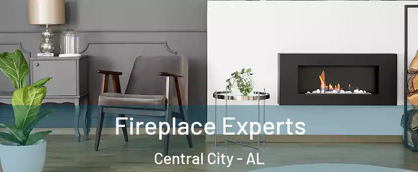 Fireplace Experts Central City - AL