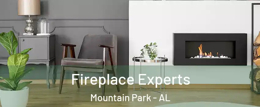 Fireplace Experts Mountain Park - AL