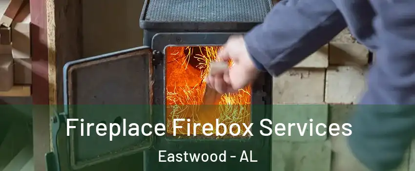 Fireplace Firebox Services Eastwood - AL