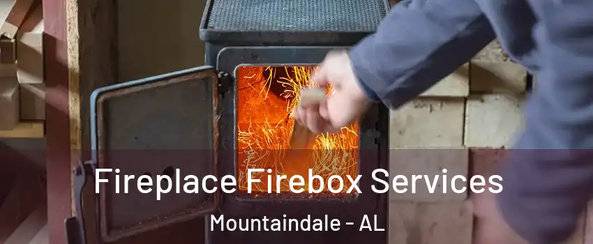 Fireplace Firebox Services Mountaindale - AL