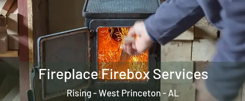 Fireplace Firebox Services Rising - West Princeton - AL