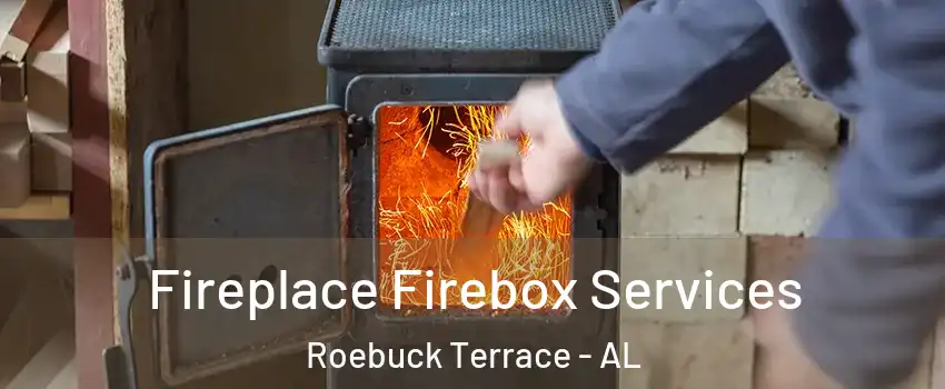 Fireplace Firebox Services Roebuck Terrace - AL