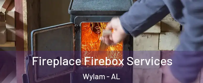 Fireplace Firebox Services Wylam - AL