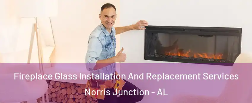 Fireplace Glass Installation And Replacement Services Norris Junction - AL