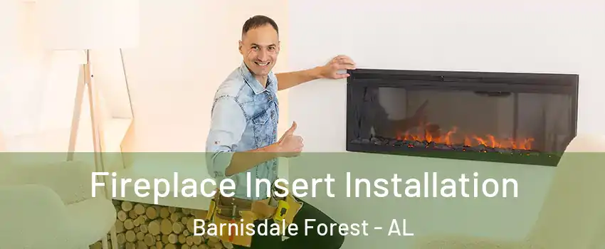 Fireplace Insert Installation Barnisdale Forest - AL