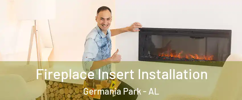 Fireplace Insert Installation Germania Park - AL