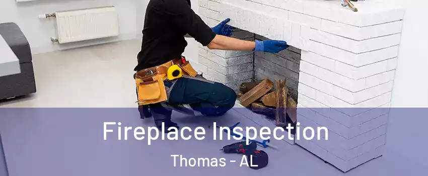 Fireplace Inspection Thomas - AL