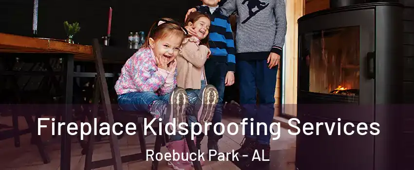 Fireplace Kidsproofing Services Roebuck Park - AL