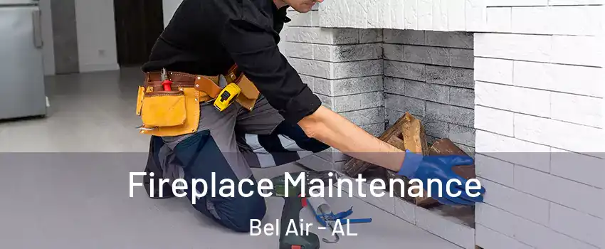 Fireplace Maintenance Bel Air - AL