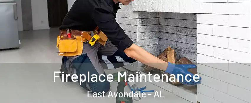 Fireplace Maintenance East Avondale - AL