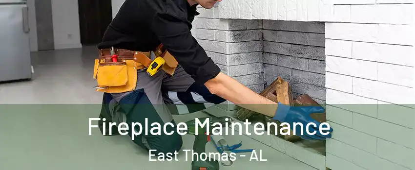 Fireplace Maintenance East Thomas - AL