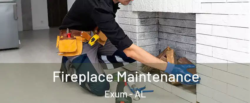 Fireplace Maintenance Exum - AL