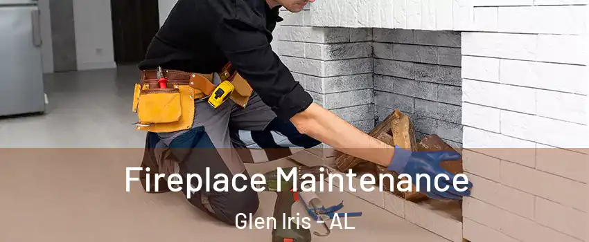 Fireplace Maintenance Glen Iris - AL