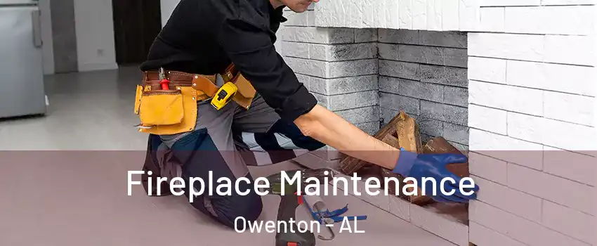 Fireplace Maintenance Owenton - AL