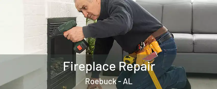 Fireplace Repair Roebuck - AL