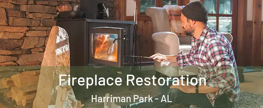 Fireplace Restoration Harriman Park - AL