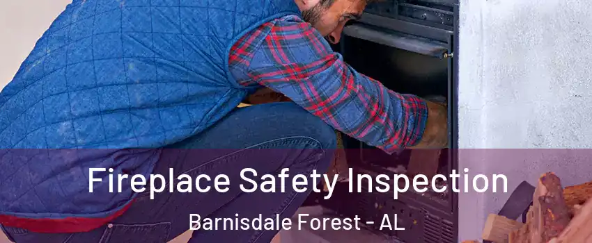 Fireplace Safety Inspection Barnisdale Forest - AL