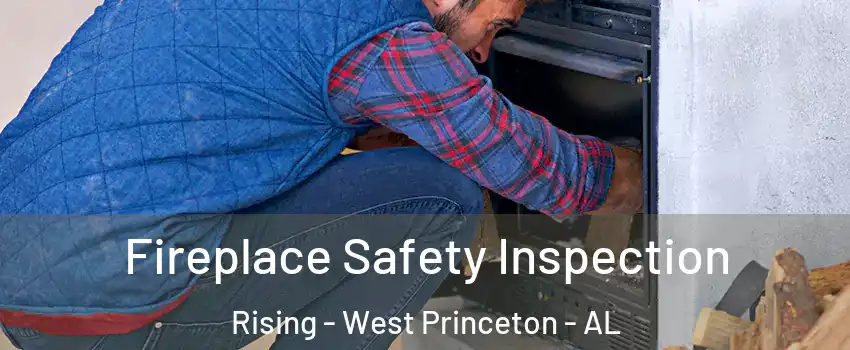 Fireplace Safety Inspection Rising - West Princeton - AL