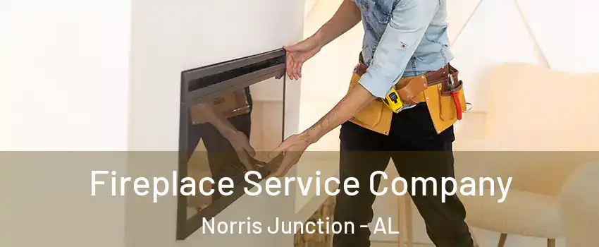 Fireplace Service Company Norris Junction - AL