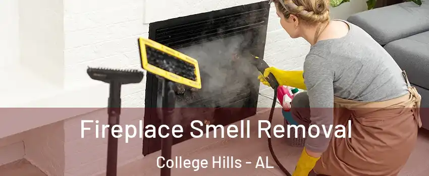 Fireplace Smell Removal College Hills - AL