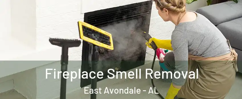 Fireplace Smell Removal East Avondale - AL