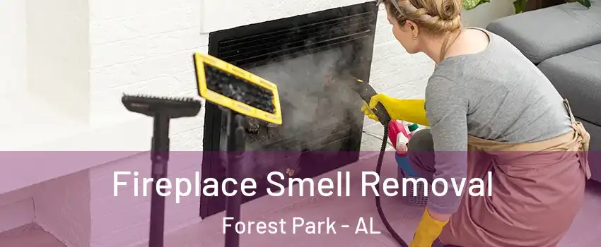 Fireplace Smell Removal Forest Park - AL