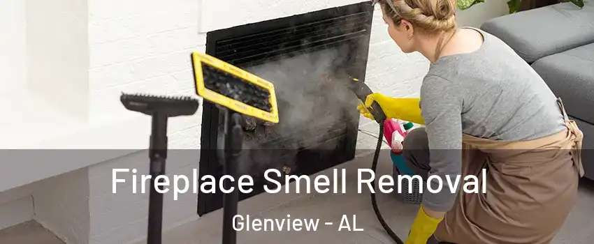 Fireplace Smell Removal Glenview - AL