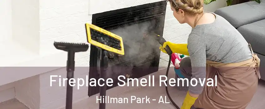 Fireplace Smell Removal Hillman Park - AL