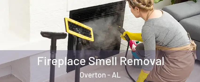 Fireplace Smell Removal Overton - AL