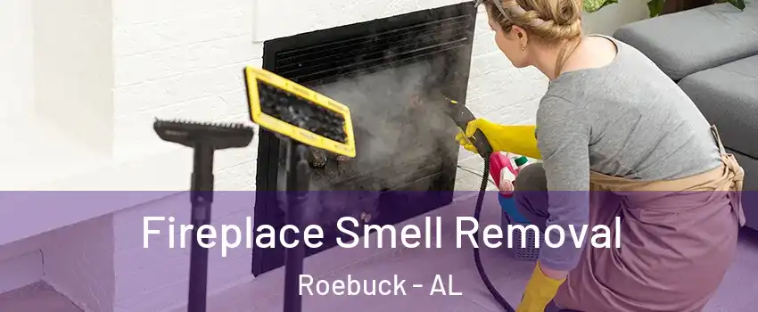 Fireplace Smell Removal Roebuck - AL