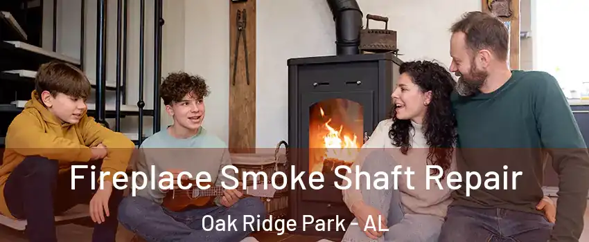 Fireplace Smoke Shaft Repair Oak Ridge Park - AL